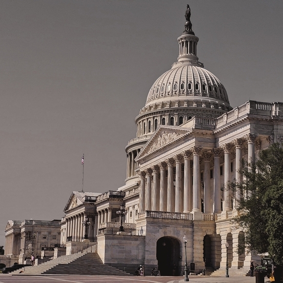 Meet your Posher, Fevie - Picture 14 of 14